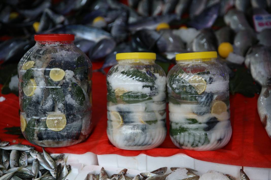 Palamudu 1500 liraya satıyorlar: Bu haliyle 1 yıl dayanıyor 5